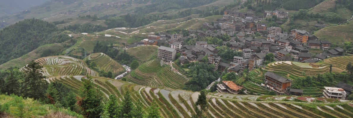 Image for Rice terraces