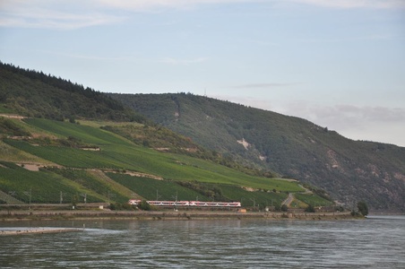 Image for Real Germany: Rhine
