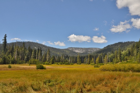 Image for Lassen volcanoes