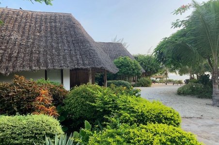 Image for Reach the Zanzibar