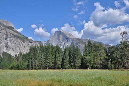 Image for Yosemite