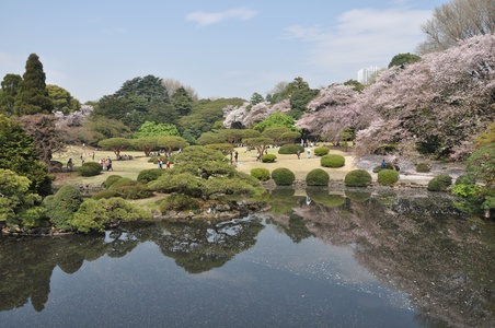 Image for Токио. Сакура