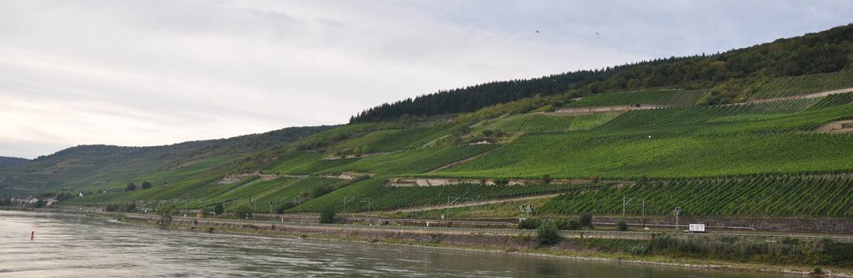 Image for Real Germany: Rhine