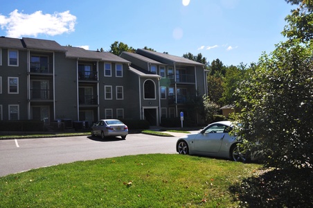 Image for Woohoo, America!