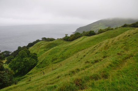 Image for Ольстер